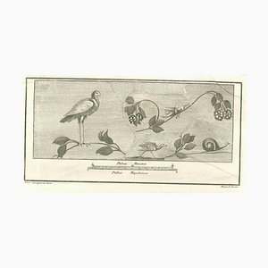 Vincenzo Campana, Birds Pompeian Fresco, Etching, 18th Century-ZCI-1781882