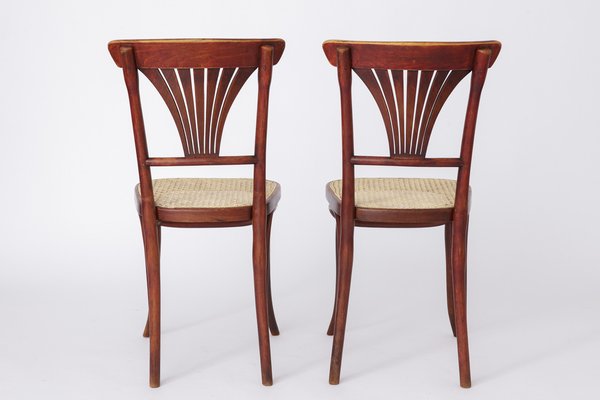 Vintage #221 Chairs from Thonet, Set of 2-DOM-1778087