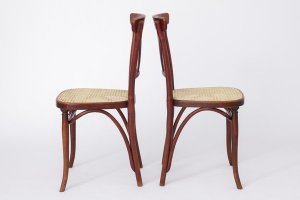 Vintage #221 Chairs from Thonet, Set of 2-DOM-1778087