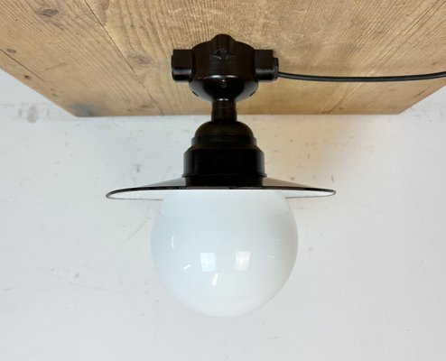 Vintage Bakelite Ceiling Light with Enamel Shade, 1960s-CGF-1719453