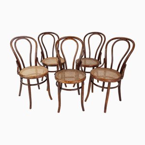 Vintage Bentwood Chairs from the Fischel Company, Set of 5-NYF-2019040