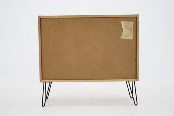 Vintage Birch & Iron Cabinet, 1970s-TZ-1296237