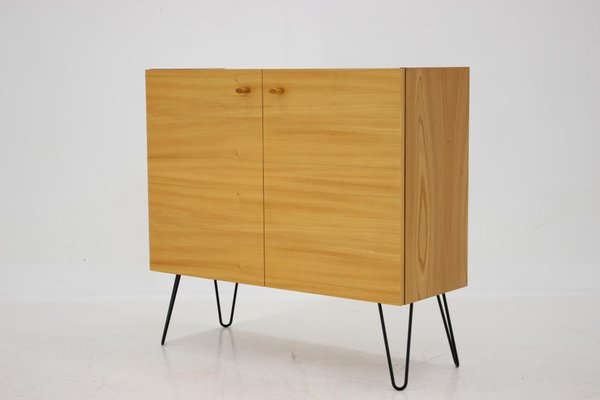 Vintage Birch & Iron Cabinet, 1970s-TZ-1296237