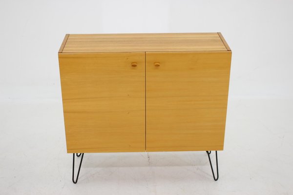 Vintage Birch & Iron Cabinet, 1970s-TZ-1296237