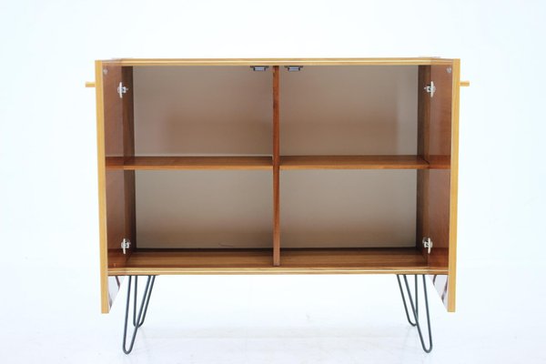 Vintage Birch & Iron Cabinet, 1970s-TZ-1296237