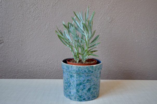 Vintage Blue Ceramic Pot Cover from Niederviller, 1970s-AIU-2031556