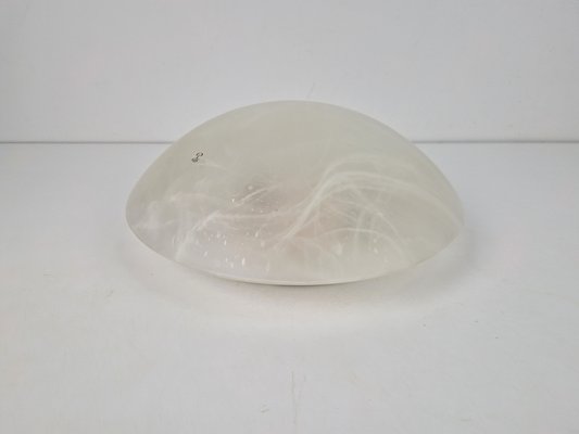 Vintage Ceiling Lamp in Frosted Glass from Peill & Putzler, 1960s-AXJ-2020543