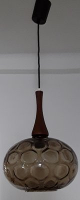 Vintage Ceiling Lamp with Smoked Elliptical Glass Shade, 1970s-HOI-954542