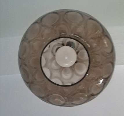 Vintage Ceiling Lamp with Smoked Elliptical Glass Shade, 1970s-HOI-954542