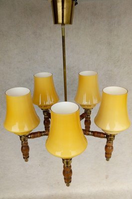 Vintage Chandelier, 1960s-VIC-883726