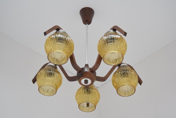 Vintage Chandelier from Dřevo Humpolec, 1960s-TZ-783859