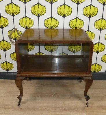 Vintage Chippendale Bar Cabinet in Glass-AFE-1700391