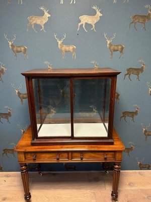 Vintage Display Cabinet in Mahogany-CUP-1791831