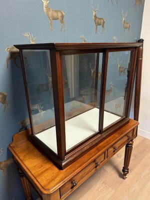 Vintage Display Cabinet in Mahogany-CUP-1791831