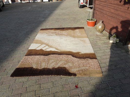 Vintage Dutch Wool Rug Carpet from Desso, 1970s-AWL-1117815