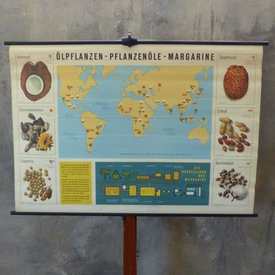 Vintage Educational Plant Chart-WK-1010222