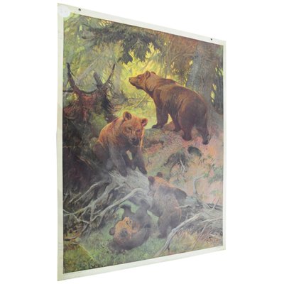 Vintage Family of Brown Bears Printed Wall Chart-KJP-1149324