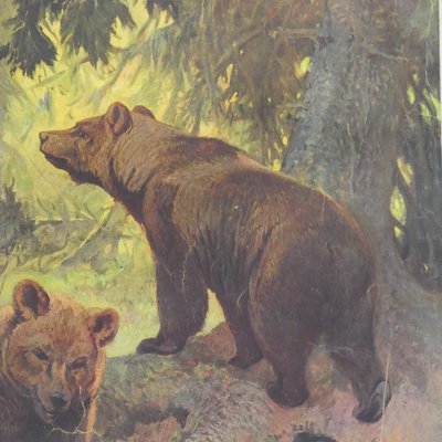 Vintage Family of Brown Bears Printed Wall Chart-KJP-1149324