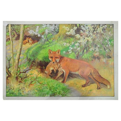 Vintage Fox Mother & Loot Rabbit Poster-KJP-1149323