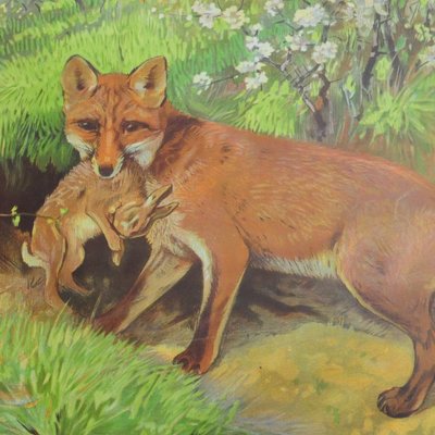 Vintage Fox Mother & Loot Rabbit Poster-KJP-1149323