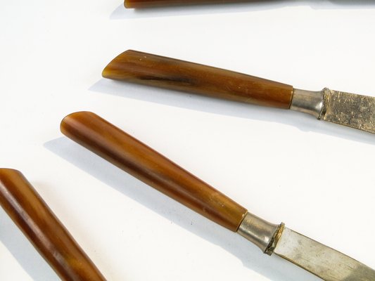 Vintage German Bakelite Knives, 1950s, Set of 6-BKO-1799010