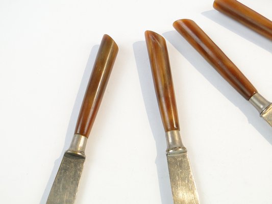 Vintage German Bakelite Knives, 1950s, Set of 6-BKO-1799010