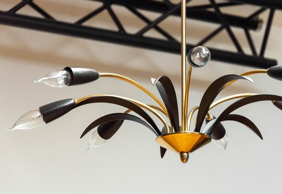 Vintage German Brass and Black Lacquer Spider Chandelier, 1950s-JE-1736809