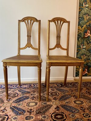 Vintage Golden Chairs, Set of 2-TEB-1801051