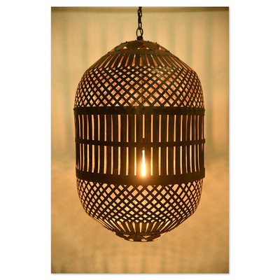 Vintage Industrial Ceiling Light-NQ-1787235