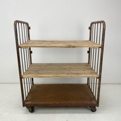 Vintage Industrial Iron and Wood Shelves on Wheels-TZ-1310015