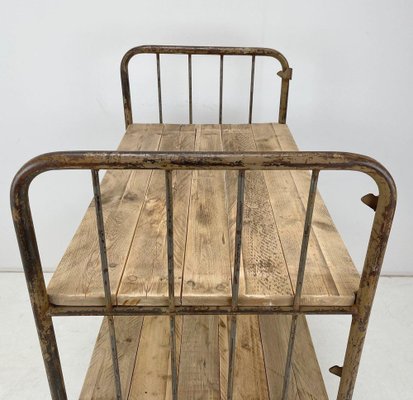 Vintage Industrial Iron and Wood Shelves on Wheels-TZ-1310015