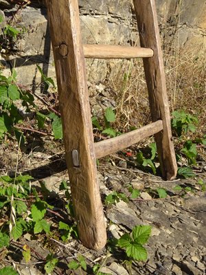 Vintage Ladder in Oak-ABK-2018078