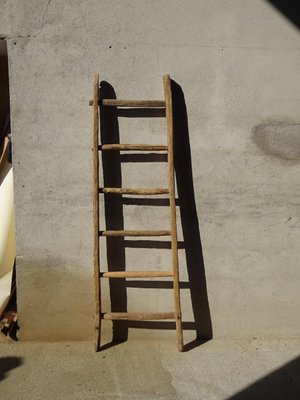 Vintage Ladder in Oak-ABK-2018078