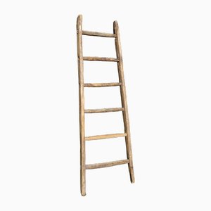 Vintage Ladder in Oak-ABK-2018078