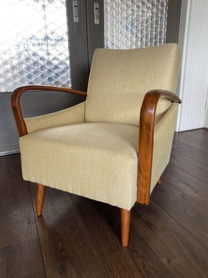 Vintage Mid-Century Modern Easy Chair, 1950s-DE-1263926