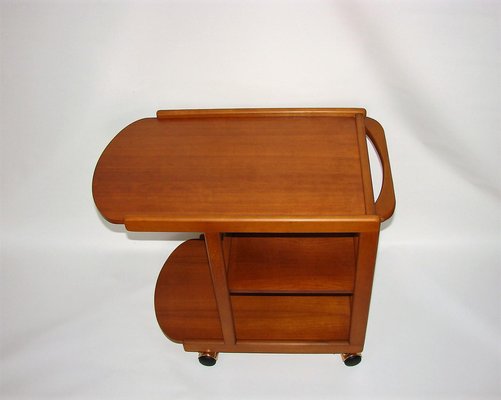 Vintage Mobile Bar in Beech & Teak, 1970s-XHP-1241296