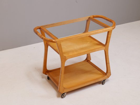 Vintage Mod. 1296 Serving Cart by Felix Kayser-XBF-1334241