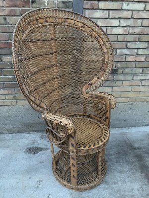 Vintage Peacock Armchair, 1960s-EXJ-1792496