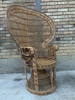 Vintage Peacock Armchair, 1960s-EXJ-1792496