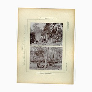 Vintage Photograph of Australia's Wallendelly River, 1893-ZCI-904984