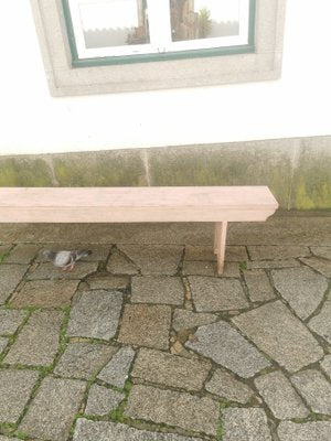 Vintage Pink Wood Bench, 1960s-GEL-1431693