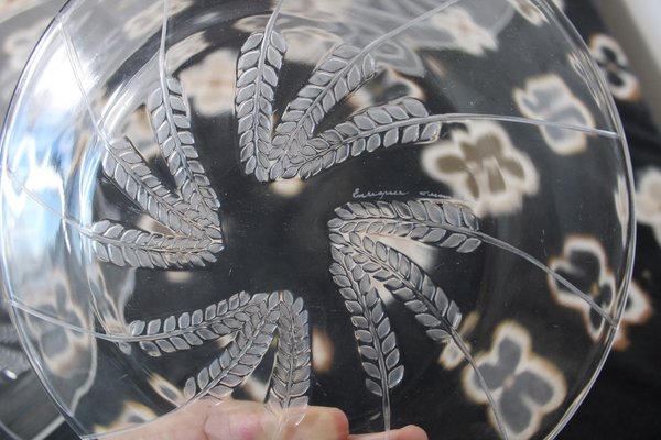 Vintage Plates by Lalique, France, 1950s, Set of 12-HFR-1897372