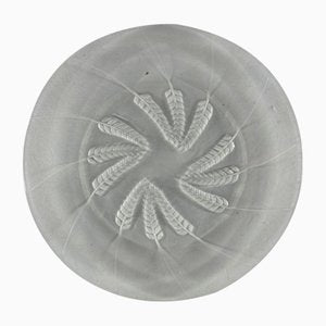 Vintage Plates by Lalique, France, 1950s, Set of 12-HFR-1897372