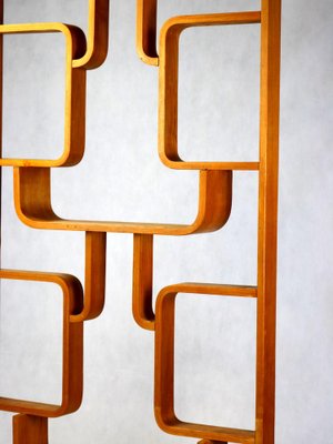 Vintage Room Divider by Ludvik Volak, 1963-YZB-1822896