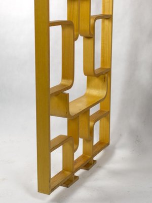 Vintage Room Divider by Ludvik Volak, 1963-YZB-1822896