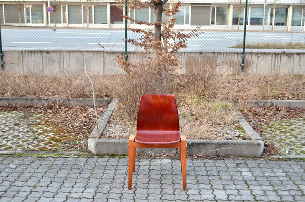 Vintage Royal Bentwood & Plywood Stacking Chairs, 1960s, Set of 4-UF-1383553