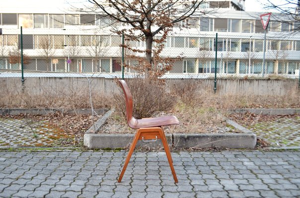 Vintage Royal Bentwood & Plywood Stacking Chairs, 1960s, Set of 4-UF-1383553