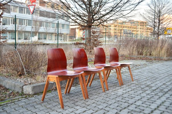 Vintage Royal Bentwood & Plywood Stacking Chairs, 1960s, Set of 4-UF-1383553