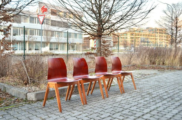 Vintage Royal Bentwood & Plywood Stacking Chairs, 1960s, Set of 4-UF-1383553