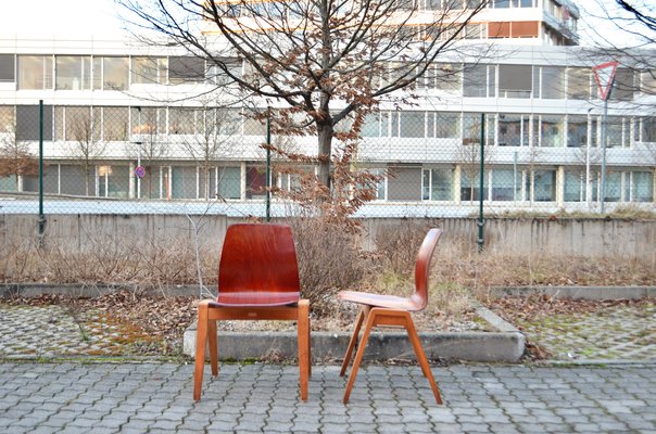 Vintage Royal Bentwood & Plywood Stacking Chairs, 1960s, Set of 4-UF-1383553